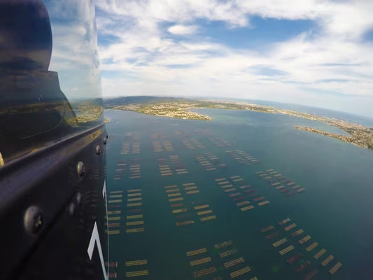 Baptême en Hélicoptère à Sète