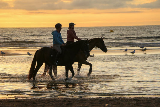 Promenade à Cheval plage