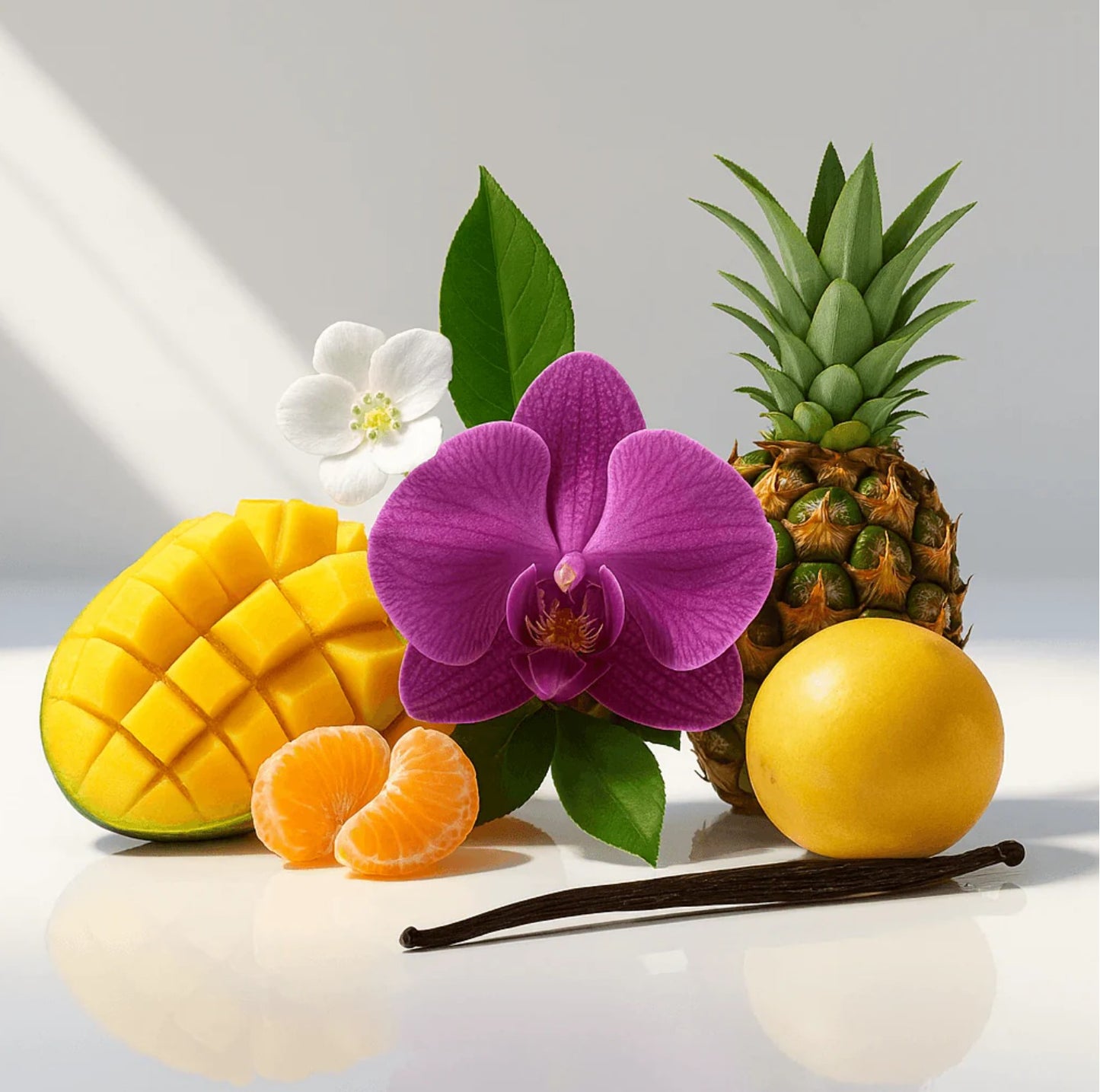 YARA - PARFUMS COLLECTION PRIVÉE